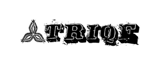 TRIQE logo