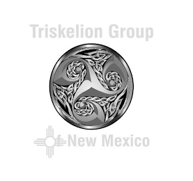 TRISKELION GROUP OF NEW MEXICO logo