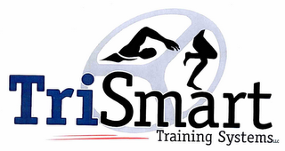 TRISMART TRAINING SYSTEMS LLC logo