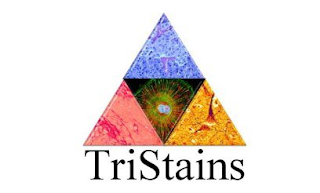 TRISTAINS logo