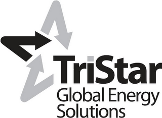 TRISTAR GLOBAL ENERGY SOLUTIONS logo
