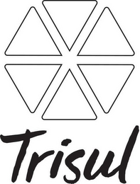 TRISUL logo
