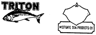 TRITON logo