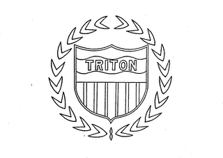 TRITON logo