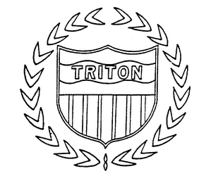 TRITON logo