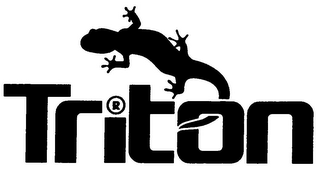 TRITON logo