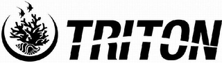 TRITON logo