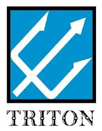 TRITON logo
