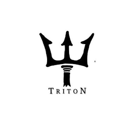 TRITON logo