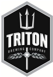 TRITON BREWING COMPANY logo