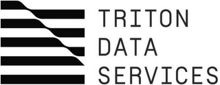 TRITON DATA SERVICES logo