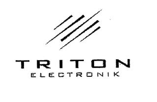 TRITON ELECTRONIK logo