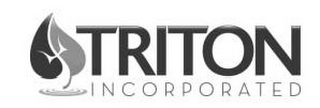 TRITON INCORPORATED logo