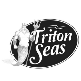 TRITON SEAS logo