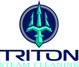 TRITON STEAM CLEANING logo