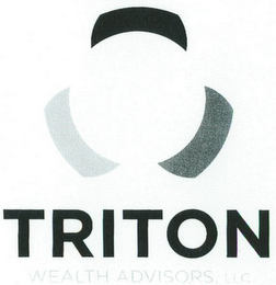 TRITON WEALTH ADVISORS, LLC logo