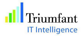 TRIUMFANT IT INTELLIGENCE logo