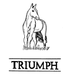 TRIUMPH logo
