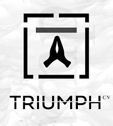 TRIUMPH CV AMP logo