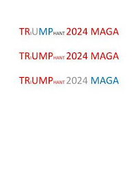 TRIUMPHANT 2024 MAGA logo