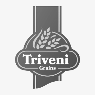 TRIVENI GRAINS logo