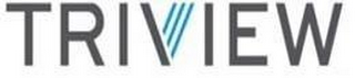 TRIVIEW logo