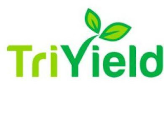 TRIYIELD logo