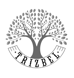 TRIZBEL logo