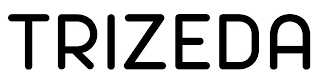 TRIZEDA logo