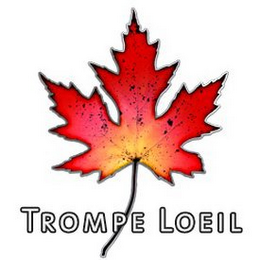 TROMPE LOEIL logo