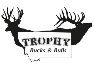 TROPHY BUCKS & BULLS OF MONTANA logo