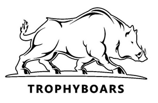 TROPHYBOARS logo