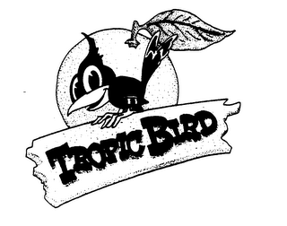 TROPIC BIRD logo