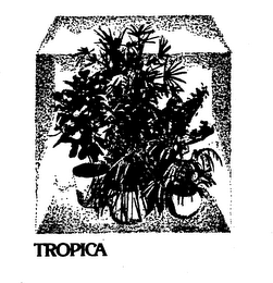TROPICA logo