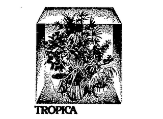 TROPICA logo