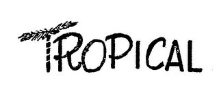 TROPICAL logo