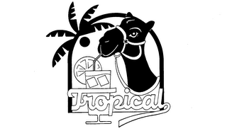 TROPICAL logo