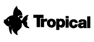 TROPICAL logo