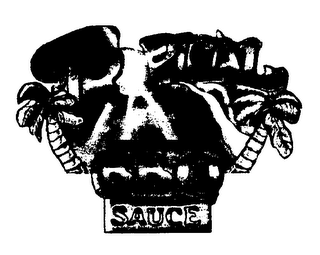 TROPICAL BBQ SAUCE logo