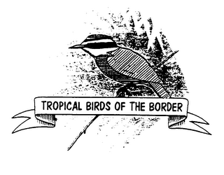 TROPICAL BIRDS OF THE BORDER logo