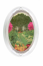 TROPICAL CORNUCOPIA logo