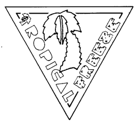TROPICAL FREEZE logo