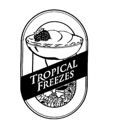 TROPICAL FREEZES logo