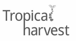 TROPICAL HARVEST logo