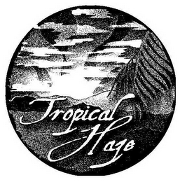TROPICAL HAZE logo