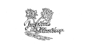 TROPICAL ILLUSIONS logo