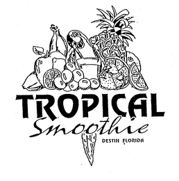 TROPICAL SMOOTHIE DESTIN FLORIDA logo