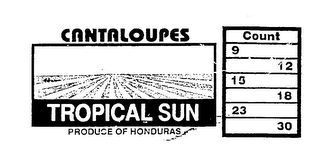 TROPICAL SUN CANTALOUPES PRODUCE OF HONDURAS COUNT 9 12 15 18 23 30 logo