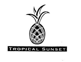 TROPICAL SUNSET logo