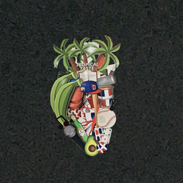 TROPICAL TASTE logo